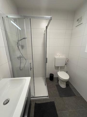 Apartment Nussbaumer Gmunden